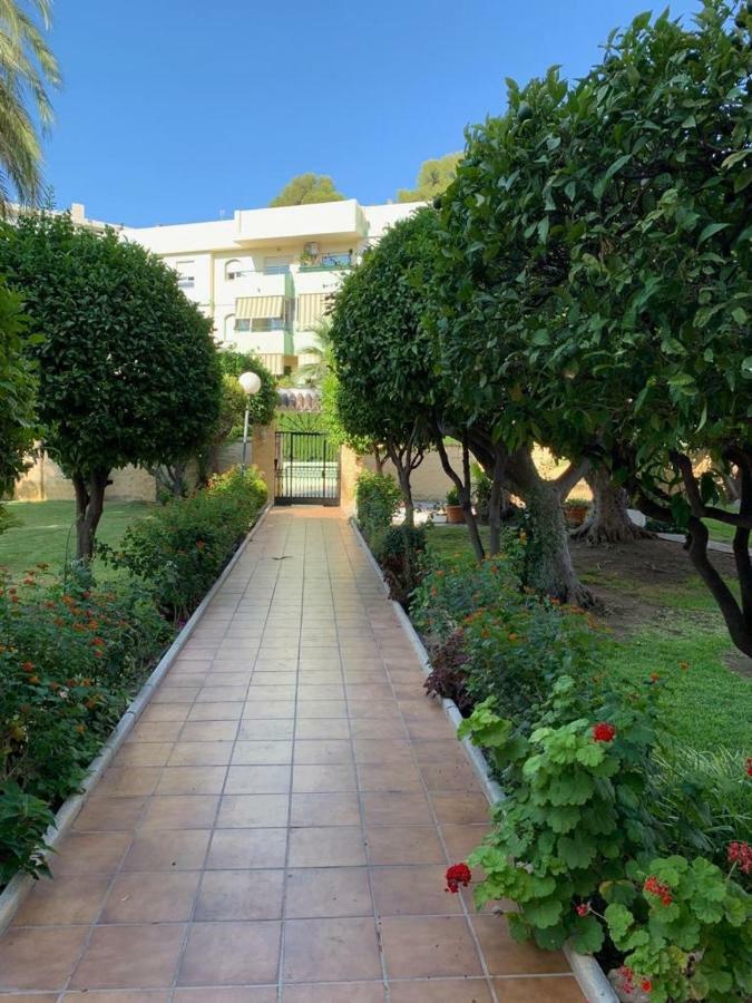 Estudio Moderno Con Jardín Privado Y Piscina *